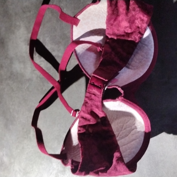 38C Maroon Lace Bra - Picture 3 of 3